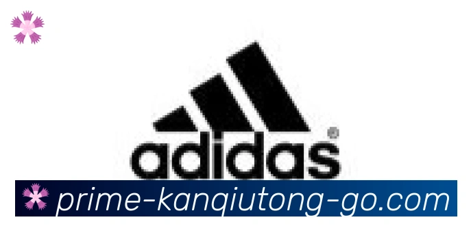 看球通体育直播合作伙伴